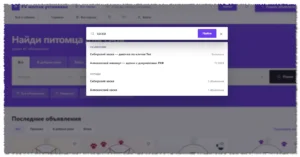 Доска объявлений WordPress